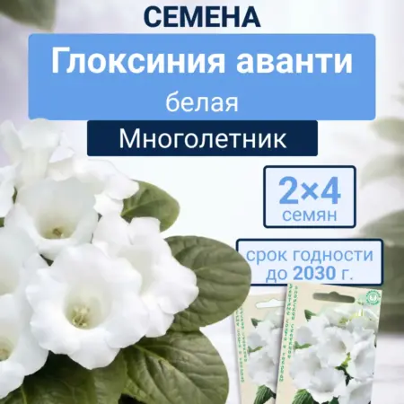 Глоксиния аванти белая 2п. Семена Тут
