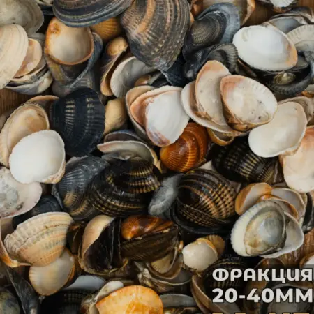 Декоративная ракушка для аквариума 20-40 мм 1100г 1,5л. AQUASTONE