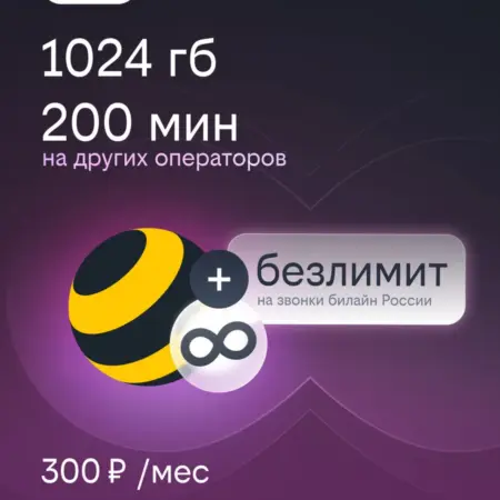 Сим карта с подпиской bee Hit 1ТБ 300 руб. мес. билайн - официальный магазин