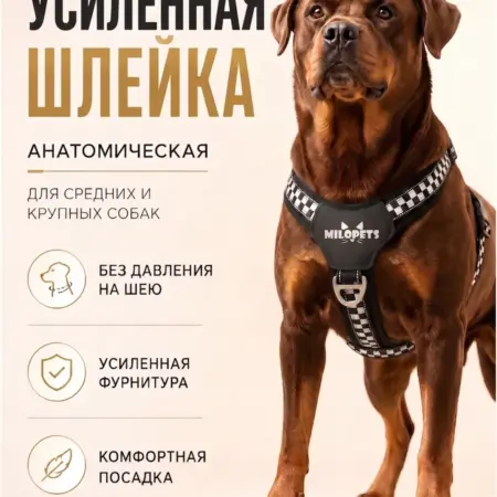 Шлейка для собак средних, крупных пород усиленная. MiloPets