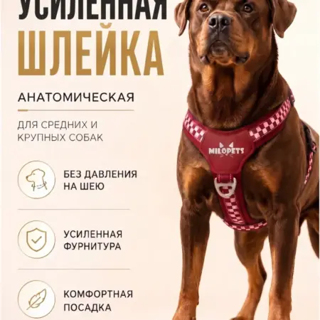 Шлейка для собак средних, крупных пород анатомическая. MiloPets