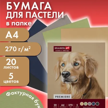 Бумага для пастели, рисования художественная A4, 20 л 5 цв. САМСОН