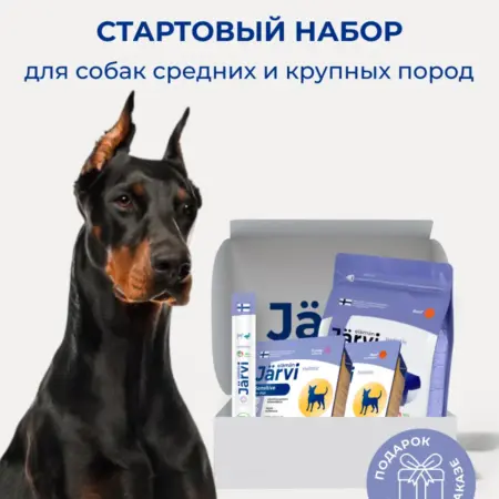 Стартовый набор для собак средних и крупных пород. ЗооОптТорг.РФ
