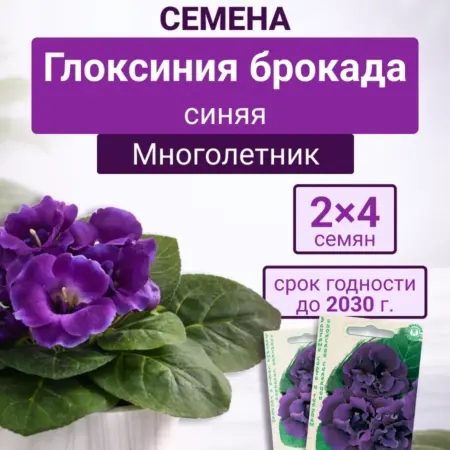 Глоксиния брокада синяя 2п. Семена Тут