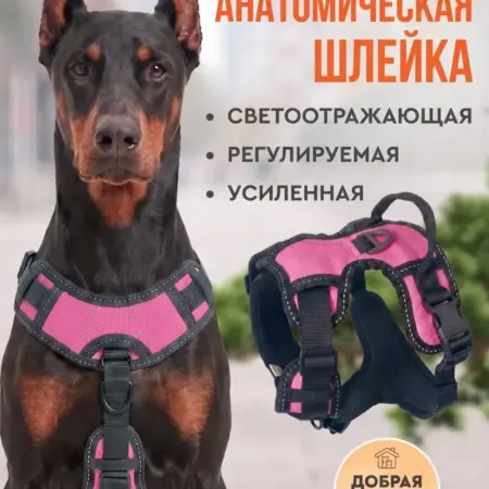 Шлейка для собак средних крупных пород анатомическая. MiloPets