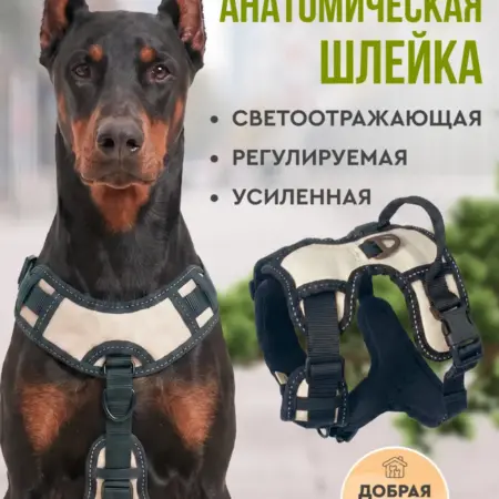 Шлейка для собак средних крупных пород анатомическая. MiloPets
