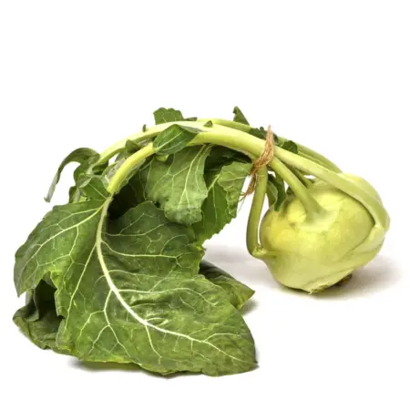 Капуста кольраби новый урожай. Season Market