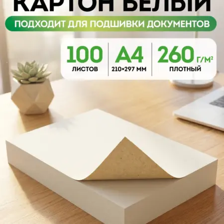Картон белый плотный для подшивки документов 100 листов. Рельеф-Центр