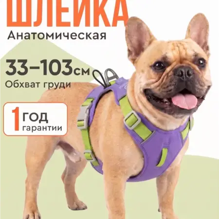 Шлейка для собак мелких средних крупных пород анатомическая. MiloPets