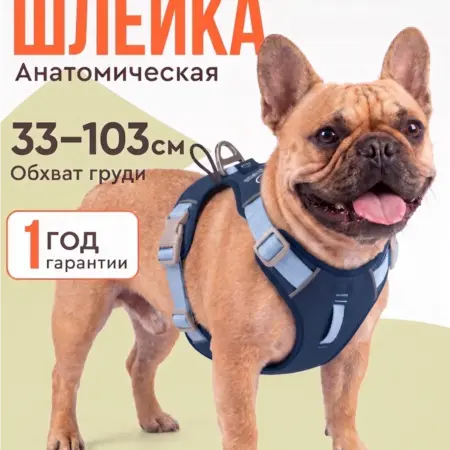 Шлейка для собак мелких средних крупных пород анатомическая. MiloPets